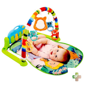 Baby Harmonium Multi-Functional