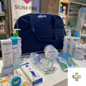 Sac Maternite Chicco